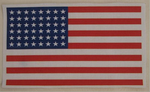 AMERICAN INVASION FLAG PATCH