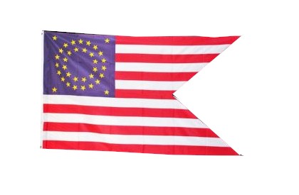 AMERICAN UNION CAVALRY GUIDON FLAG