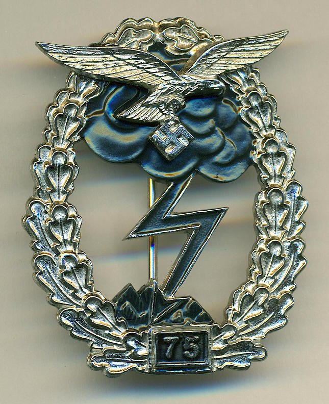 GROUND COMBAT BADGE OF THE AIR FORCE 75 ACTIONS