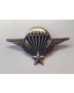 FRENCH PARATROOPER WINGS BADGE