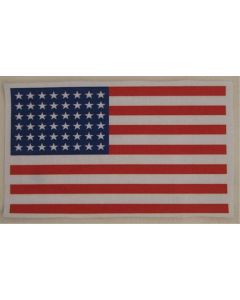 AMERICAN INVASION FLAG PATCH