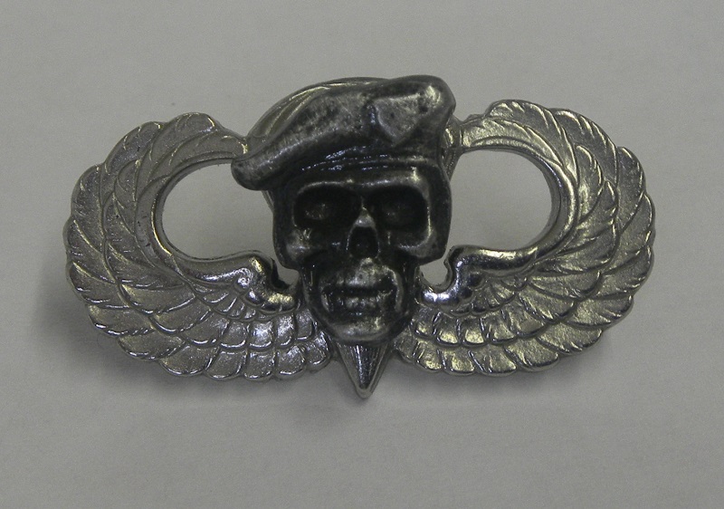 paratrooper skull wing special forces