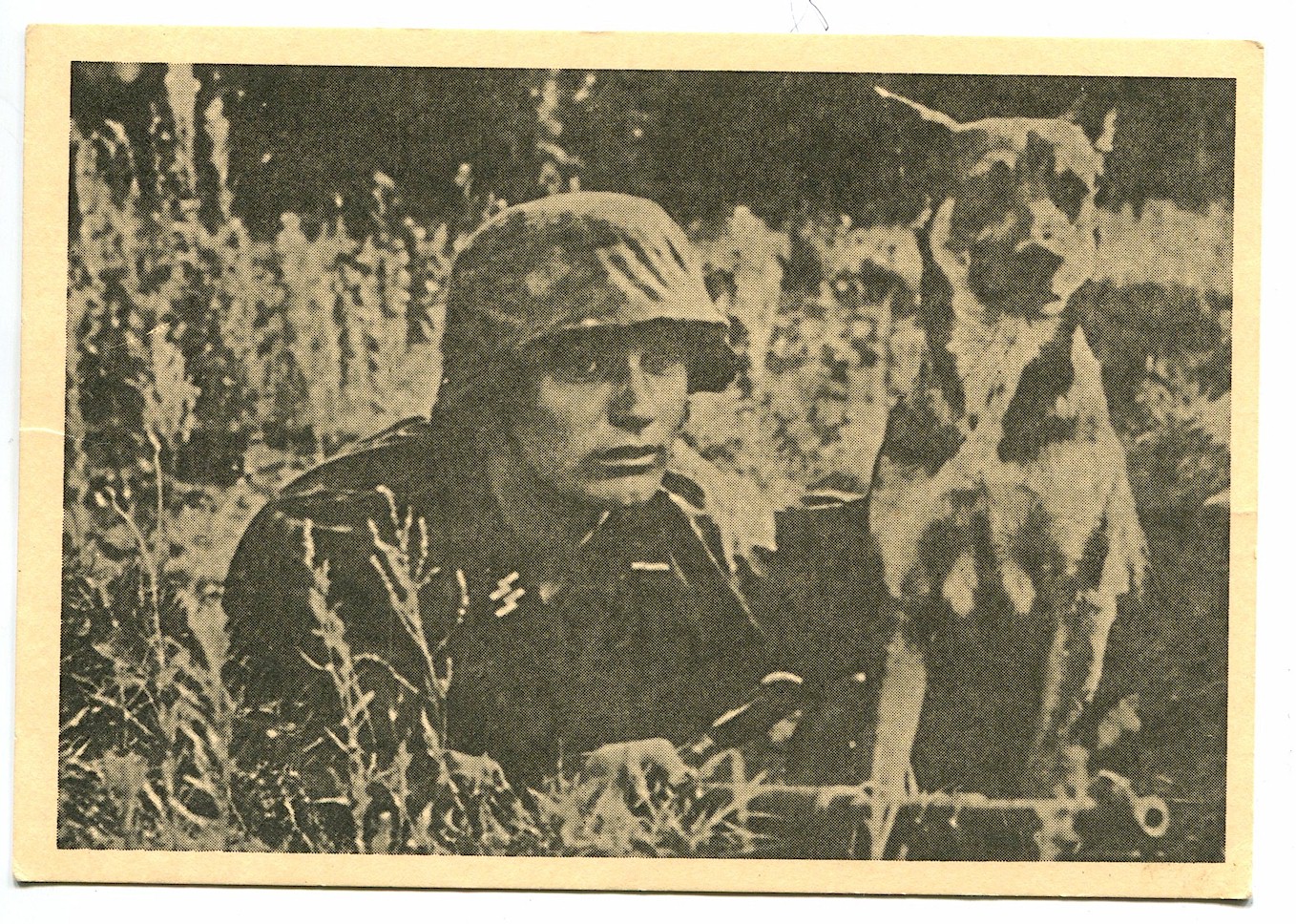 UNSERE WAFFEN SS POST CARD "THE MESSENGER AND HIS DOG"